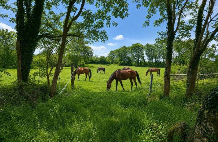 Manoir de 250 m2 avec 4 ha pour chevaux — photo 5