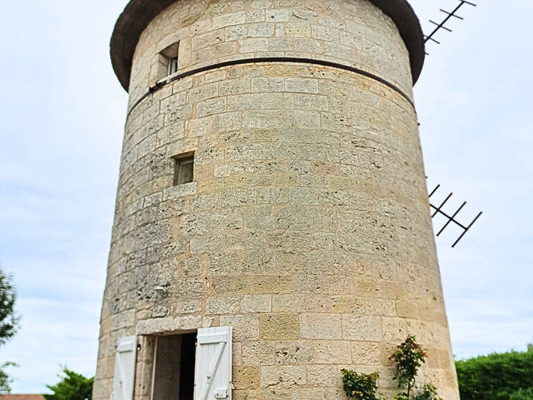Mauvezin   Authentique moulin à vent restauré avec vue Pyrénées — photo 1
