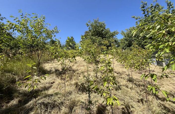 Terrain à bâtir de 0 pièces principales — photo 2