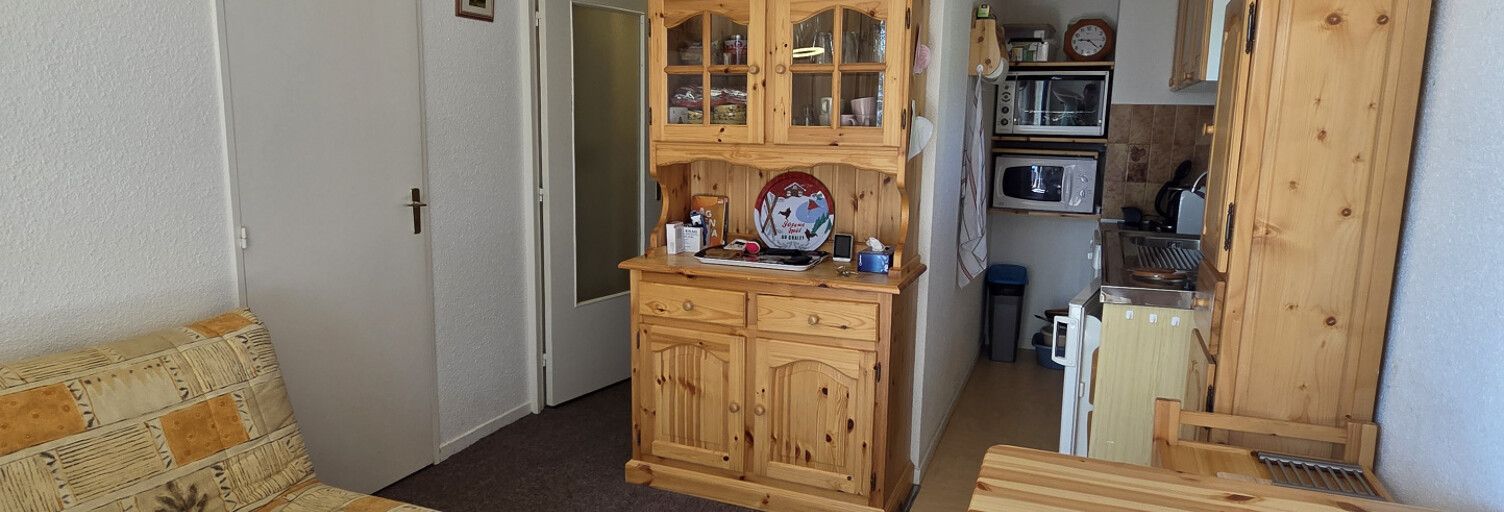 Appartement 2 Pièces 27 m² à vendre à Barcelonnette (04400)