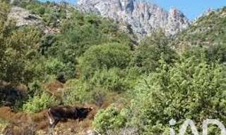 Terrain  47407 m² à vendre à Popolasca (20218)