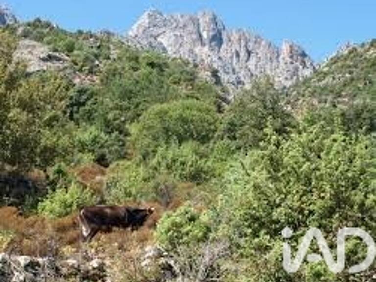 Vente Surface diverse 47 407 m&sup2; — photo 1