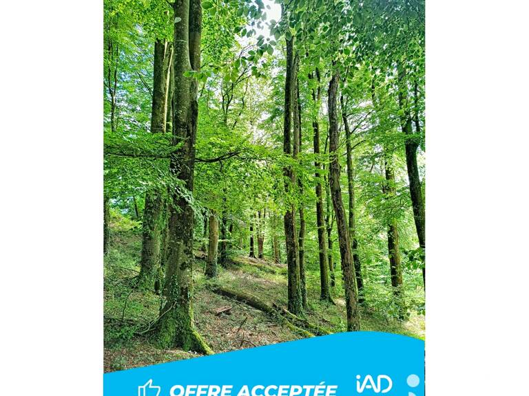 Vente Terrain 10 344 m&sup2; — photo 1