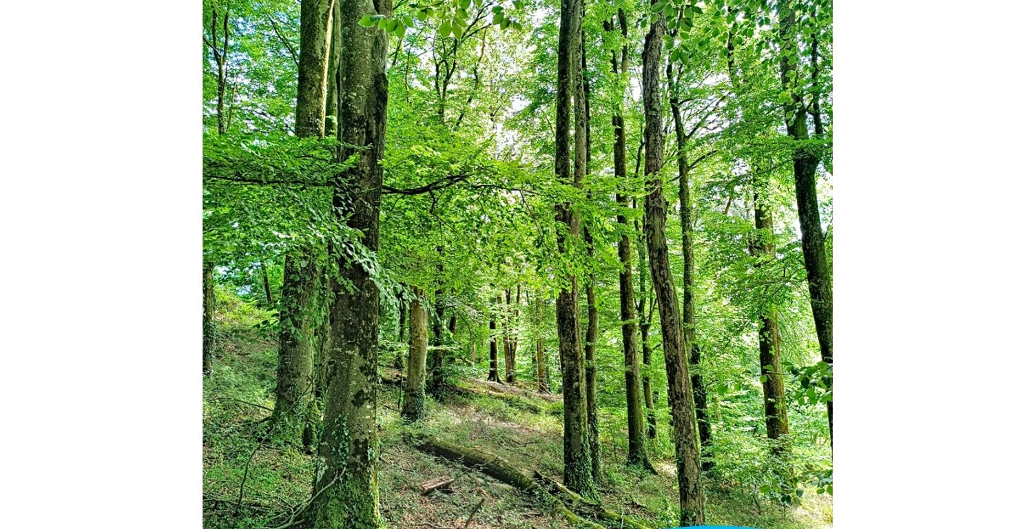 Vente Terrain 10 344 m&sup2; — photo 1