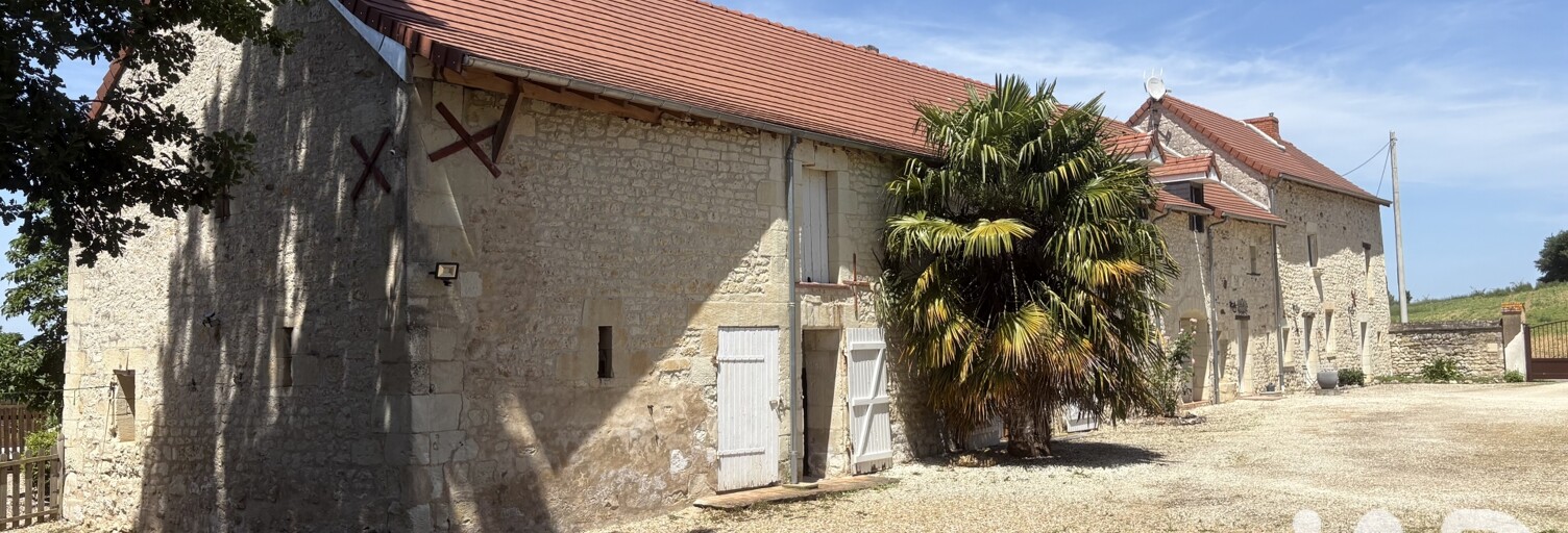 Maison 10 Pièces 263 m² à vendre à Dangé-Saint-Romain (86220)