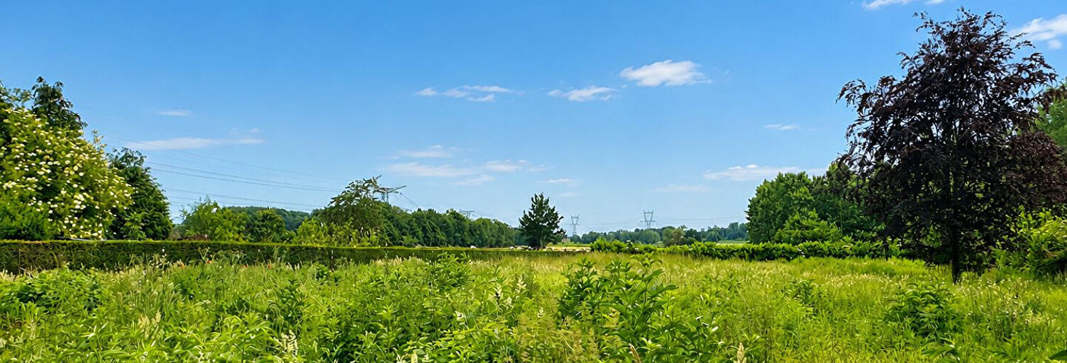 Terrain  1305 m² à vendre à Coutiches (59310)
