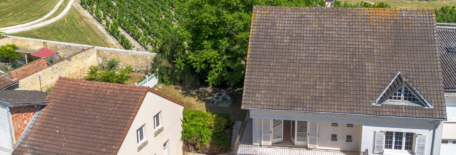 Maison 7 Pièces 238 m² à vendre à Blancs-Coteaux (51190)