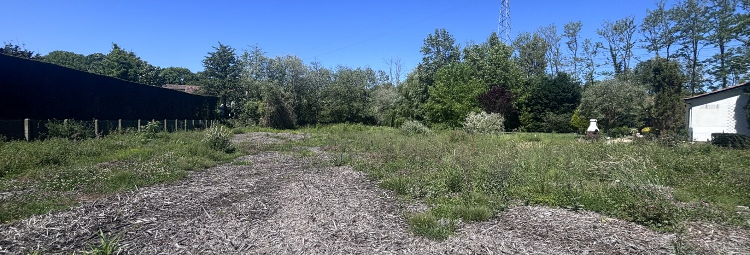 Photo N° 2