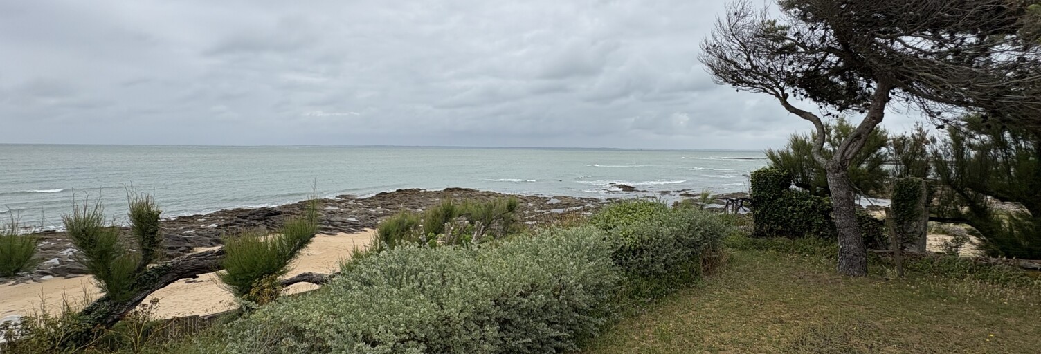 Photo N° 2