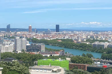 Appartement 3 pièces 1250 €