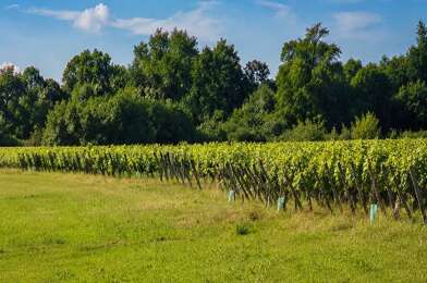 Terrain  92000 €