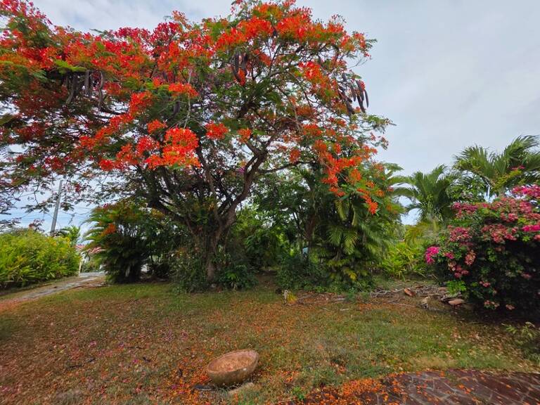 Belle villa traditionnelle sur magnifique terrain de 1290 m² — photo 1