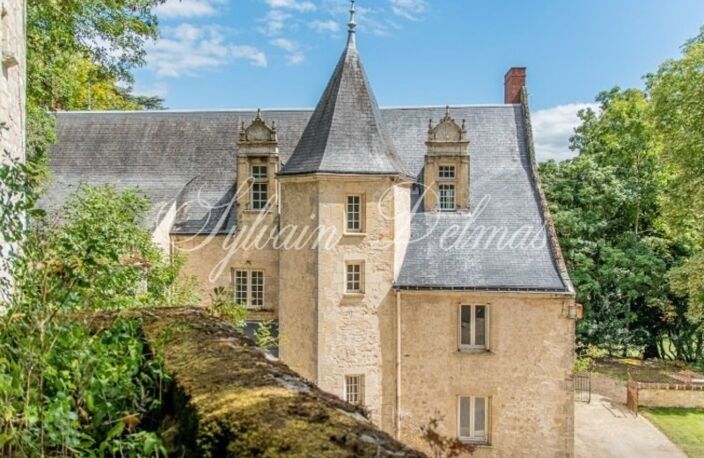 Propriete à vendre 18 pièces proche de TOURS (37) — photo 3