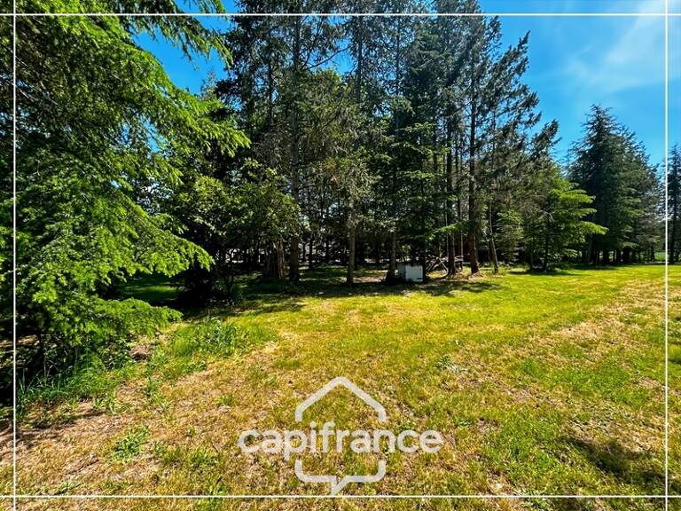 Terrain arborée à vendre sur la commune de ROQUEFORT (47) — photo 1