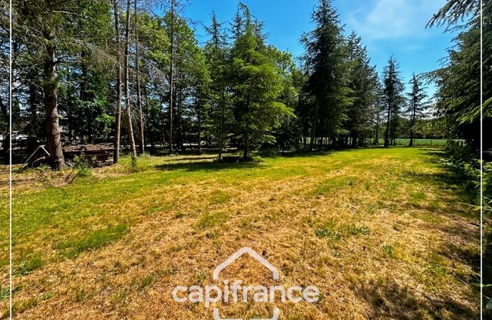 Terrain arborée à vendre sur la commune de ROQUEFORT (47) — photo 3