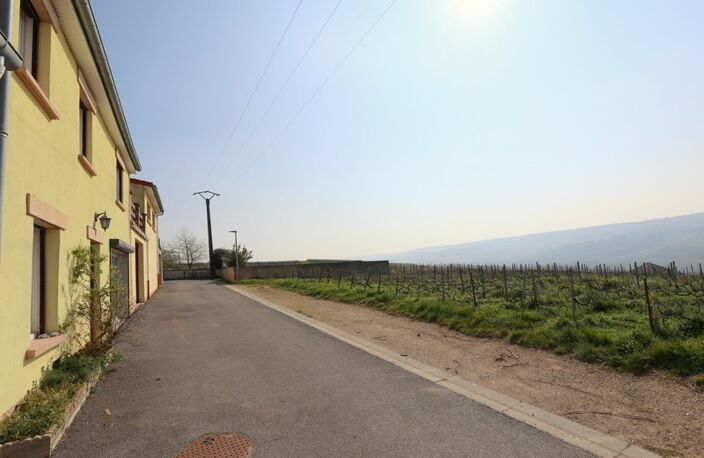 VENTEUIL(51) Maison à vendre 8 pièces avec une vue exceptionnelle sur le vignoble de la vallée de la marne — photo 2