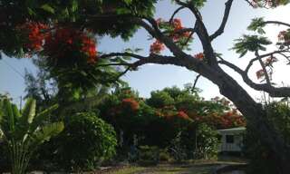 Photo N° 2