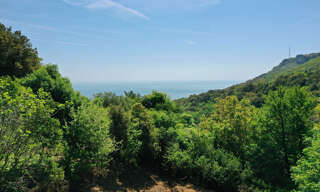 Terrain  1724 m² à vendre à Brando (20222)