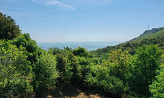 Terrain  1724 m² à vendre à Brando (20222)
