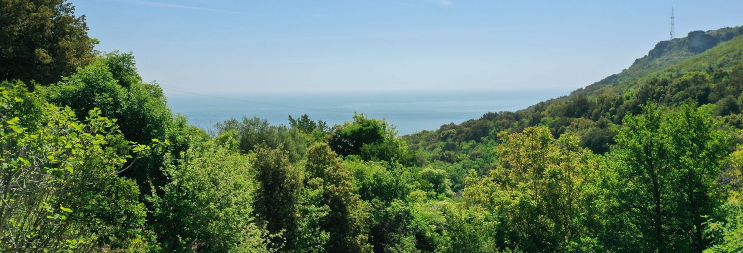 Terrain  1724 m² à vendre à Brando (20222)