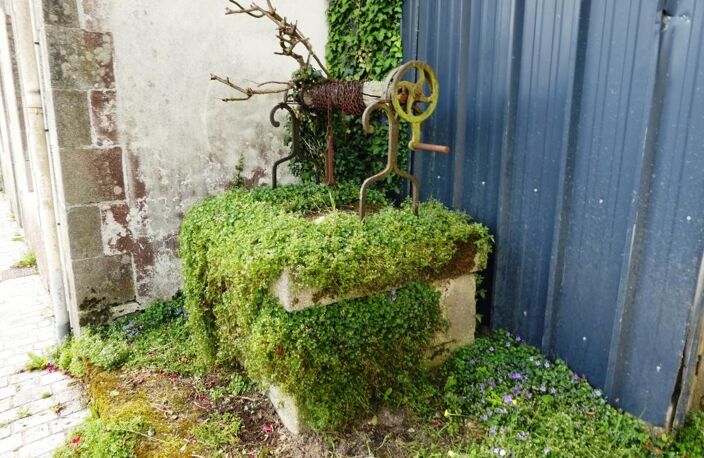 Maison — photo 5