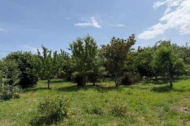 Terrain  97000 €