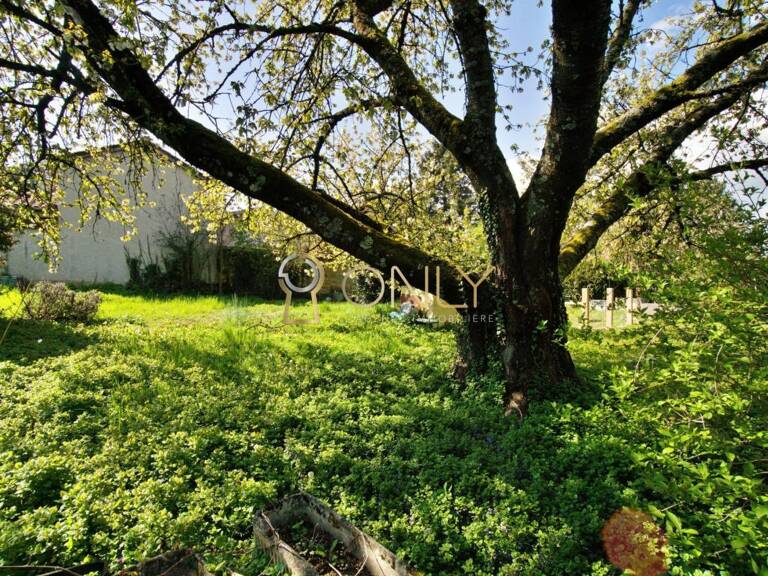 Chasselay - Terrain constructible de 541 m² — photo 1