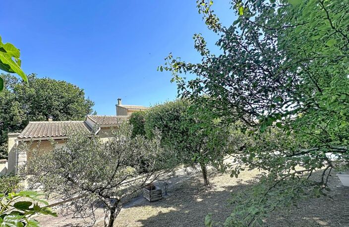 Maison À Vendre, 5 chambres, jardin clos, piscine, Morières-Les-Avignon, 135 m² + dépendances — photo 3