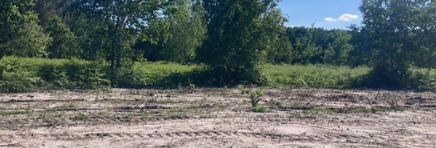 Terrain 730 m² à construire Labouheyre (40210)