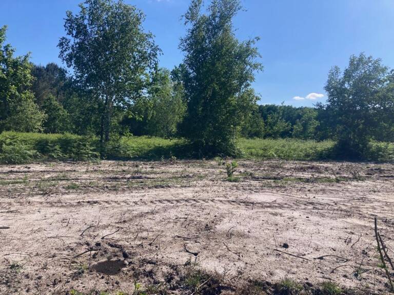 Terrain à bâtir de 730 m² à LABOUHEYRE (40) — photo 1