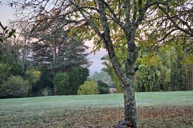 Terrain  124000 €
