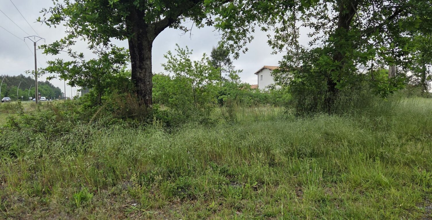 Terrain à bâtir de 1400 m² à PARENTIS-EN-BORN (40) — photo 1