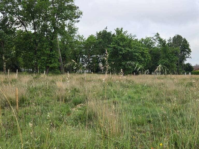Terrain à bâtir de 520 m² à PARENTIS-EN-BORN (40) — photo 1