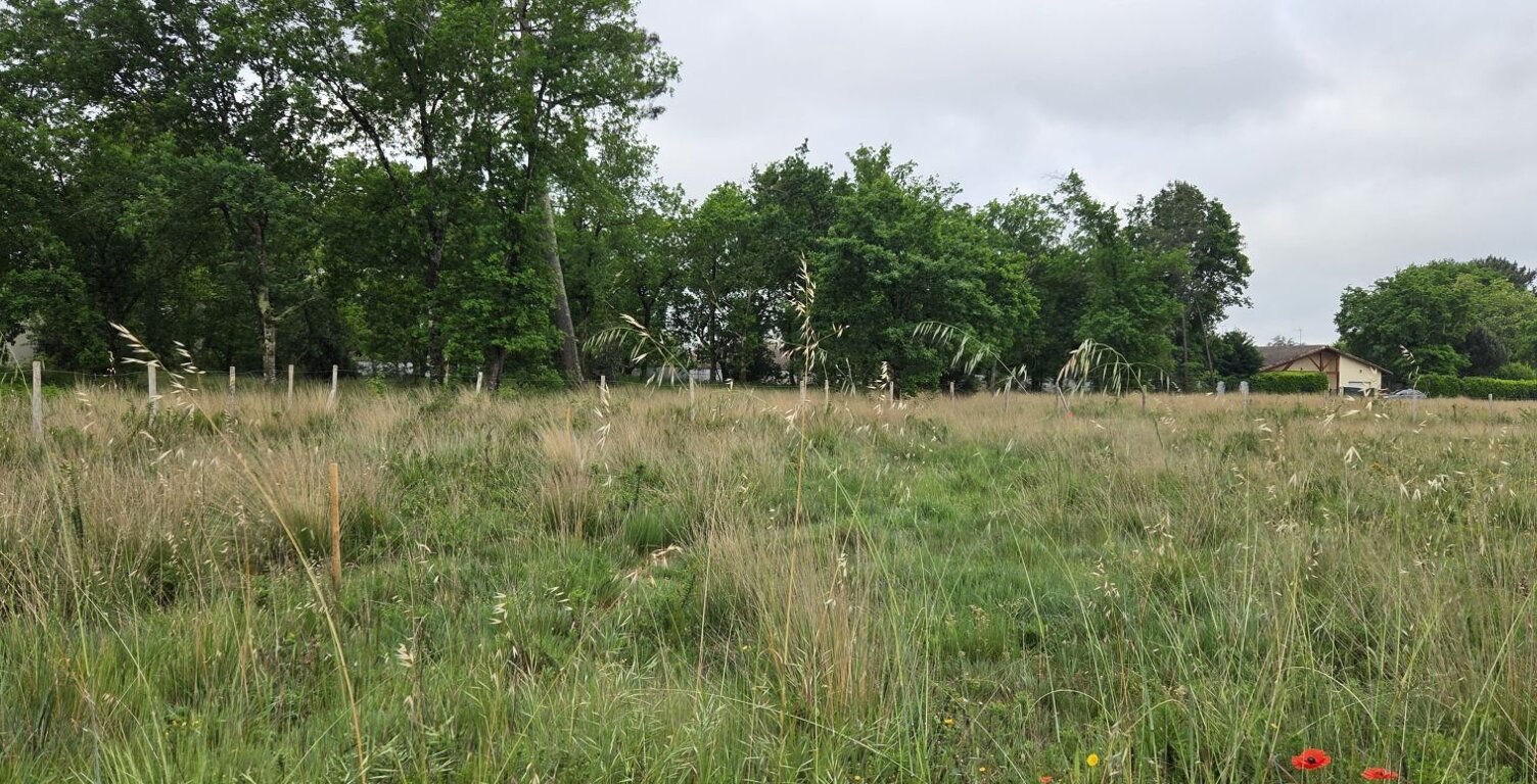 Terrain à bâtir de 520 m² à PARENTIS-EN-BORN (40) — photo 1