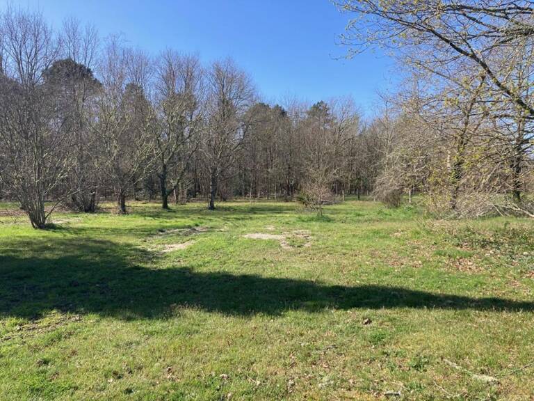 Terrain à bâtir de 700 m² à LANTON (33) — photo 1