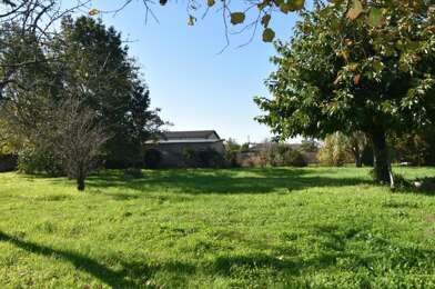 Terrain  125000 €