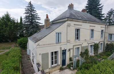 Centre ville SAINT AIGNAN/CHER, Belle et grande Maisons, 13 pièces — photo du bien