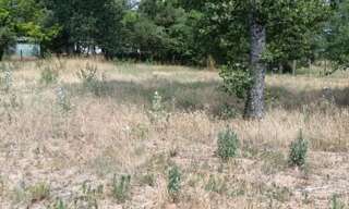 Terrain  641 m² à vendre à Saint-Jean-de-Monts (85160)