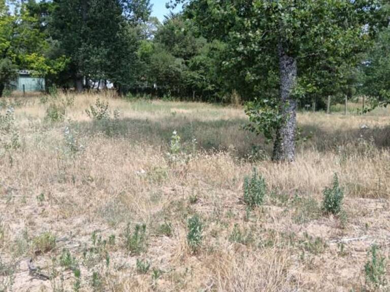 Terrain à bâtir de 641 m2 - Orouët - Saint-Jean de Monts - 108120  TTC — photo 1