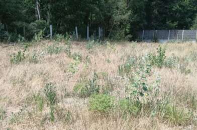 Terrain  132500 €