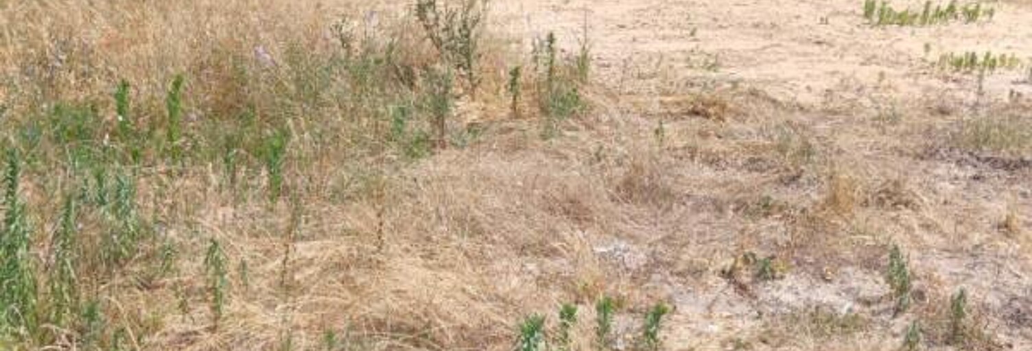 Terrain  601 m² à vendre à Saint-Jean-de-Monts (85160)