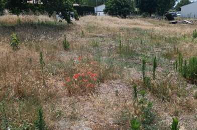 Terrain  142400 €