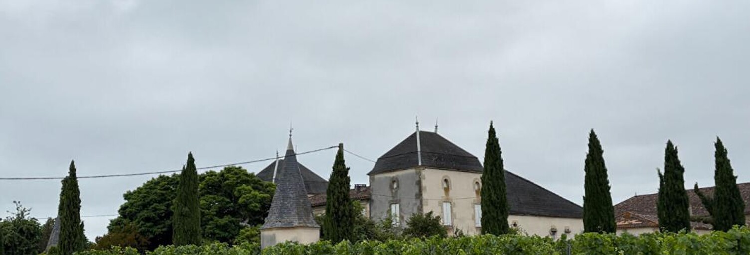Maison 12 Pièces 550 m² à vendre à Massugas (33790)