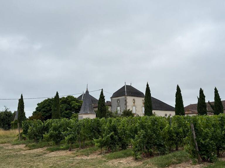Château confidentiel à Massugas, dominant les côteaux, entre Pellegrue et Sauveterre de Guyenne — photo 1