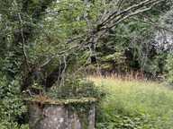 Propriété d'Exception : Le charme néo-classique proche de Sauveterre de Guyenne — photo 4