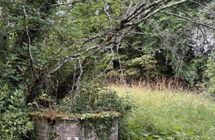 Propriété d'Exception : Le charme néo-classique proche de Sauveterre de Guyenne — photo 4