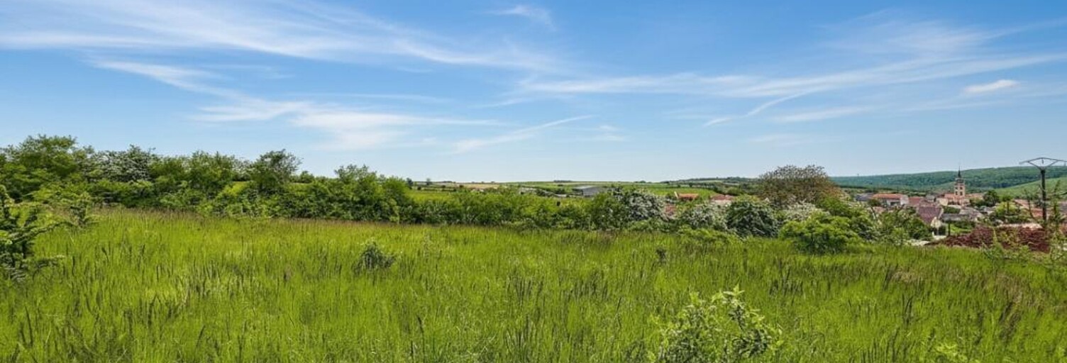 Terrain  1550 m² à vendre à Francheville (21440)