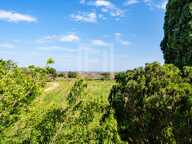 Mas catalan sur 3 hectares - Projet de vie, nature, vue mer & Albères — photo 2