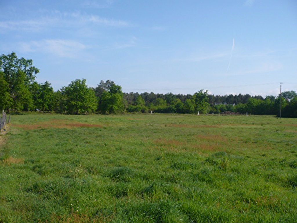 Terrain à bâtir de 652 m² à LARUSCADE (33)