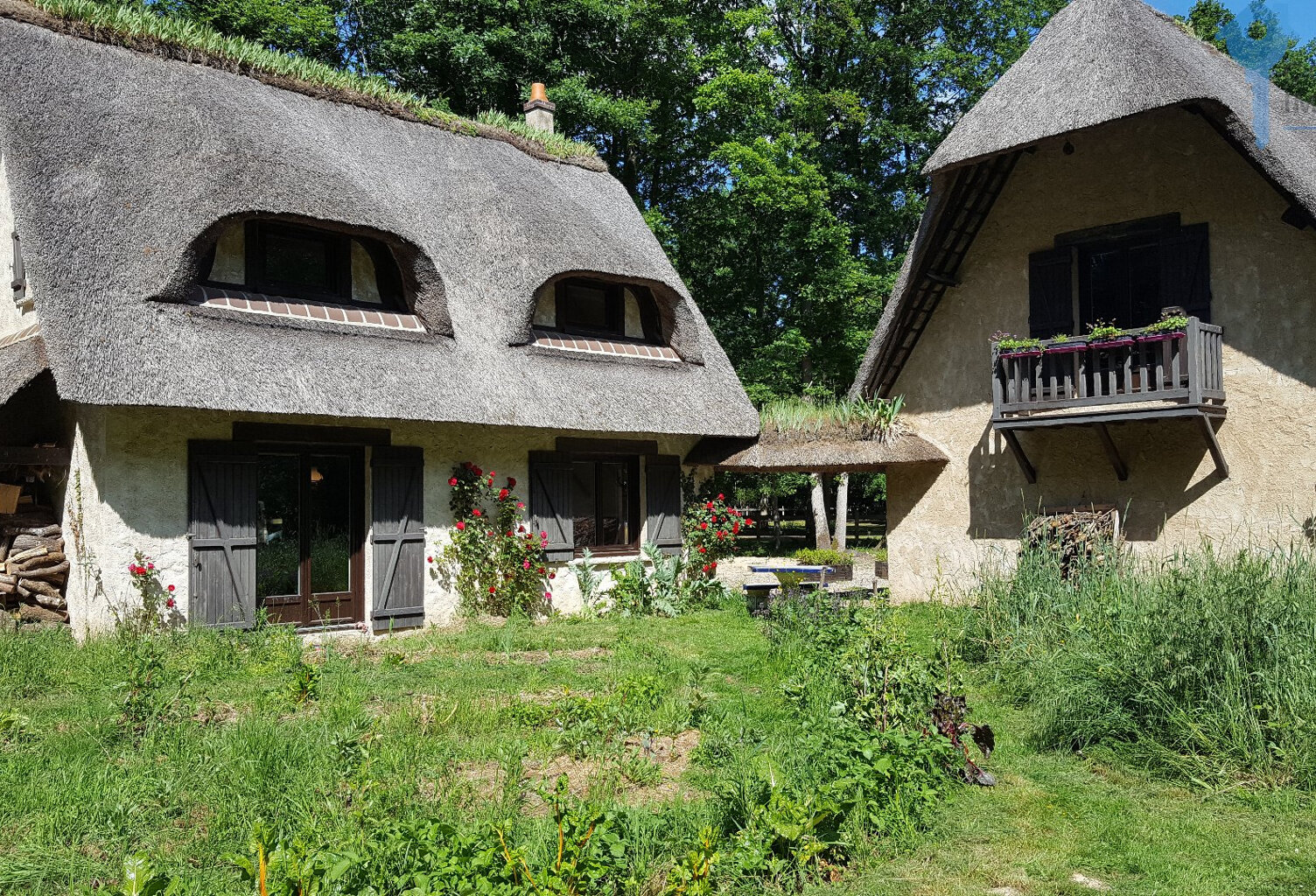 A vendre Dpt Eure (27) propriété 263 m2 sur terrain boisé de — photo 1